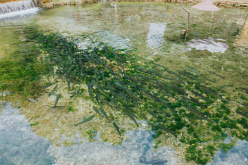 Sticker - High angle shot of a low water surface with green moss on the rocks under sunlight