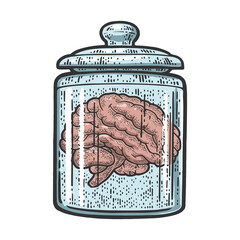 human brain in jar of formalin color sketch engraving vector illustration. t-shirt apparel print des