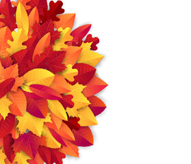 Wall Mural - Autumn background banner with red and orange leaves. Vector illustration.