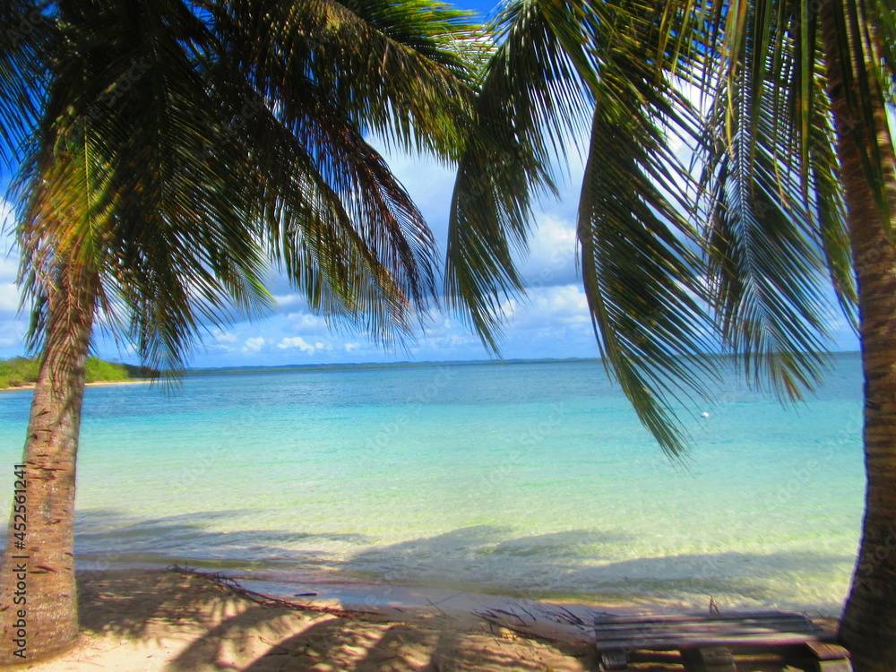 Des palmiers sur la plage de sable blanc devant la paradisiaque mer turquoise