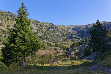 Poster - Firs on the shore of Achard Lake in Chamrousse resort, French Alps