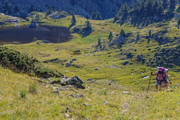 Wall Mural - Climbing grassy slopes over a small mountain lake in french Alps