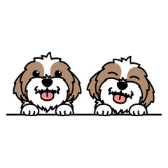 Cute shih tzu dog cartoon, vector illustration