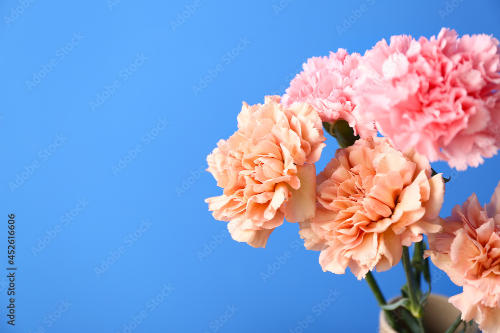 Vase with beautiful carnation flowers on color background, closeup