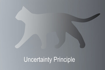 uncertainty principle concept
