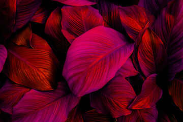 Poster - closeup nature view of purple leaves background, abstract leaf texture