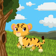 Cartoon cute baby tiger in the grass
