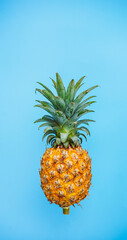 Wall Mural - Fresh Pineapple on blue background with vintage filter