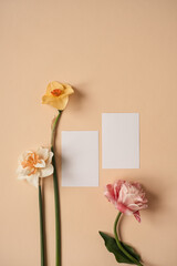 Wall Mural - Blank paper sheet cards with mockup copy space and narcissus and rose flowers on neutral dusty ginger background. Minimal aesthetic business brand template. Flat lay, top view