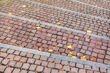Cobblestone Road With Autumn Leaves . Walking In The Fall Season . Autumn In The City 