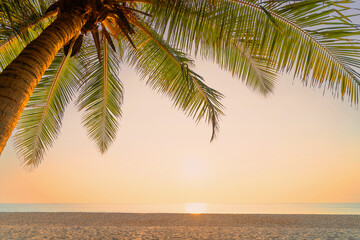 Palm tree at tropical beach on sunset sky abstract background. Summer vacation and nature travel adventure concept.