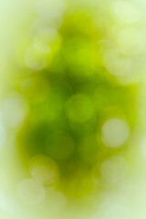 Sticker - A vertical shot of beautiful bokeh lights background for wallpapers