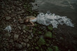 © ArtMood Visualz - Beautiful young woman with long blond hair, wearing a dress made of plastic bags, stranded on an ocean shore, lying on rocks covered with silt and surrounded by waste