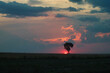 Samotne drzewo oraz zachodzące słońce, krajobraz Lubelszczyzny.