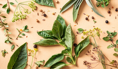 Wall Mural - Various herbs and spices on a beige background top view. Basil, thyme, sage and spices flat lay.