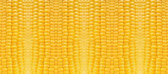  Yellow corn nature pattern, abstract vegetable texture background