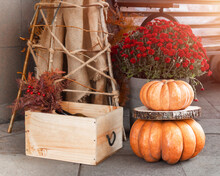 Outdoors Composition With Two Pumpkins And Bouquet Of Red Chrysanthemums. Thanksgiving Day Concept, Halloween, Autumn Harvest. Selective Focus.