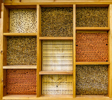 Insect Hotel At A Farm