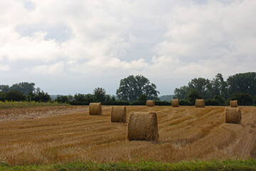 Canvas Print - Harvested field with several rolled hay bales in summer