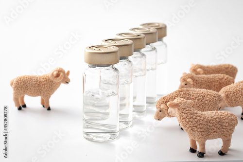 Coronavirus herd immunity, Covid-19 community immunization and vaccination against contagious spread concept with sheep and vaccine vials isolated on white background