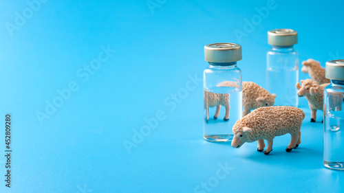 Coronavirus herd immunity, Covid-19 community immunization and vaccination against contagious spread concept with sheep and vaccine vials isolated on blue background with copy space