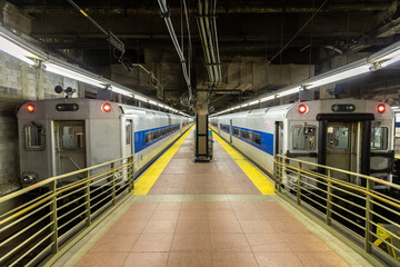 Poster - Subway wagon in New York