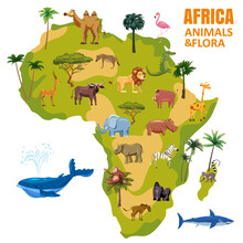 Map Of Africa And Rhino MOnkey Free Stock Photo - Public Domain Pictures