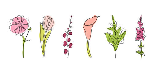 Set of one line art flowers. Vector monoline branch, gerbera, leaf, tulip, calla. Isolated on white background. Doodle floral concept. Print, textile, fashion, accessories, media, postcard, package.