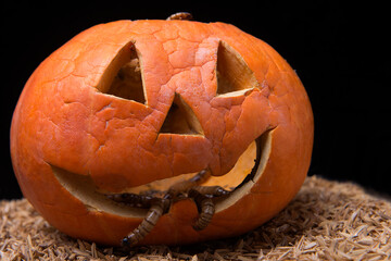 Canvas Print - Jack-o-Lantern with worms on the ground