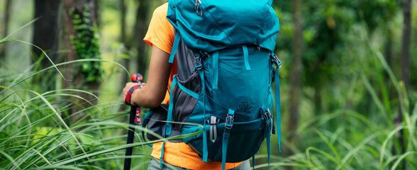 Poster - Woman backpacker hiking in summer sunrise forest mountain