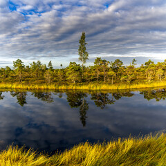 Sticker - raised bog and marsh landscape under an expressive sky