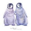 Baby penguin watercolor illustration. Penguin hugs. Arctic animals