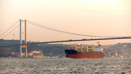 Wall Mural - A cargo ship in the Bosphorus, Istanbul, Turkey.