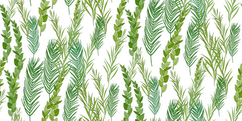 Traditional Jewish Holiday Sukkot seamless pattern. Jewish torah Lulav date palm, Etrog citron, Arava willow and Hadas myrtle isolated on white. Repeating with etrog, lulav, Arava, Hadas. Vector