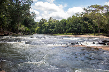 Wall Mural - river in the forest