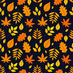 Canvas Print - autumn leaves colorful pattern.