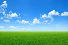 Green Sloping Meadows With Blue Sky And Clouds Background.