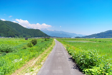 Wall Mural - 快晴の日の美しい農村の景観