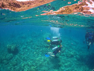 Wall Mural - Tourists scuba dive Mediterranian Sea. Marmaris,Turkey.