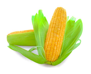 Wall Mural - corn isolated on white background as a packaging design element