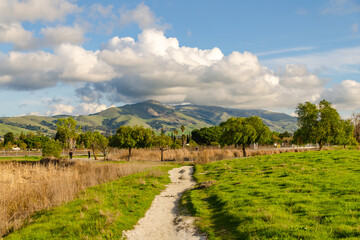 Poster - Central Park in Fremont, California