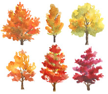 Set Of Watercolor Autumn Trees Isolated On White Background. Hand Drawn Illustration