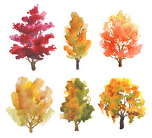 Set Of Hand Drawn Watercolor Trees With Autumn Colors Isolated On White