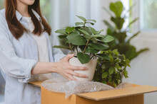 Happy Asian Young Woman, Customer Received, Unpack Package Carton Open Parcel In Cardboard Box, Holding Ceramic Plant Pot. Moving, Preparing In New House, Relocation. Online Shop Delivery At Home.