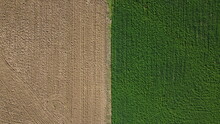 Top Down Image Of The Seperation And Contrast Between A Harvested Field And A Plowed Field In Rural Agricultural Farmland, Australia