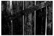 © Goji - Texture of stained vertical planks facade. Old dirty rough siding of gnarled surface rural country wooden paneling. Messy aged laths.  Rustic grungy ranch lumber fence of hard boards for barn design