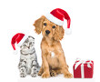 Cute kitten and  Spaniel puppy wearing red christmas hats sit with gift box and look at camera. isolated on white background