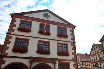 Fototapete - Schloss in Lohr am Main im Spessart