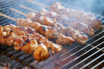 Poster - Chicken skewers on the grill 