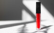 Lip gloss and sun shadow . The concept of lip gloss without labels. Decorative cosmetics. Lip care.